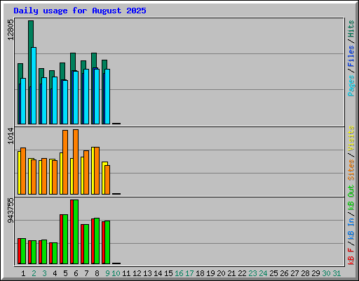 Daily usage for August 2025
