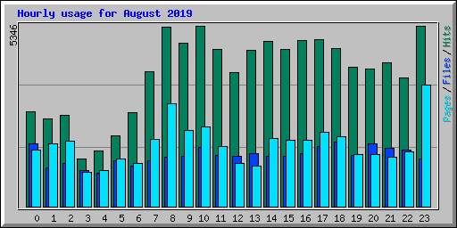 Hourly usage for August 2019