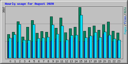 Hourly usage for August 2020