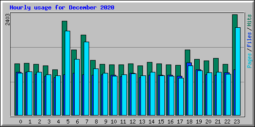 Hourly usage for December 2020