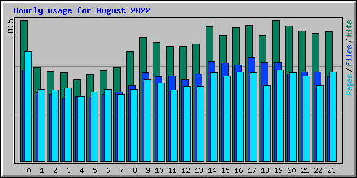 Hourly usage for August 2022