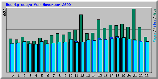 Hourly usage for November 2022