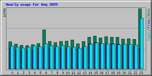 Hourly usage for May 2025