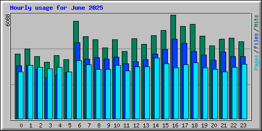 Hourly usage for June 2025