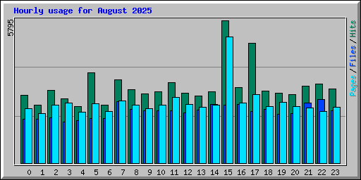 Hourly usage for August 2025