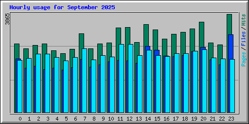 Hourly usage for September 2025