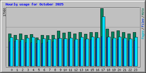 Hourly usage for October 2025