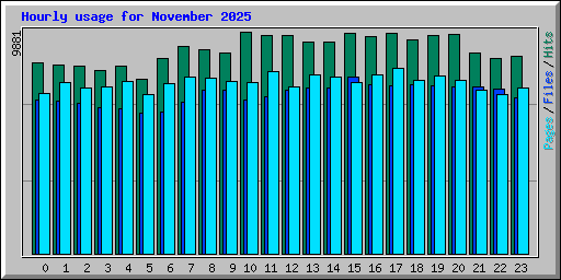 Hourly usage for November 2025