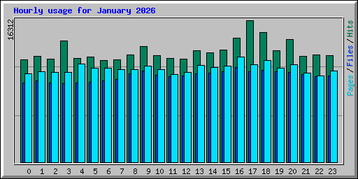 Hourly usage for January 2026